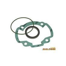 pakking topset kymco dj / refined / kb-k12 / scooter peugeot / scout 47mm malossi 119588