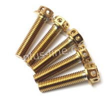 Schroef aplus m6x30 (10 stuks) gold