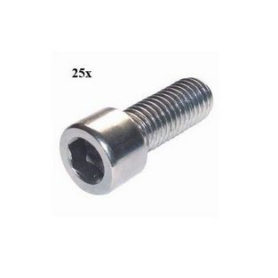 bout inbus m6x10mm 25pcs