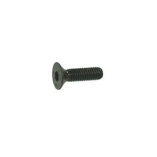 bout rempotdeksel m4x10mm zwart 25pcs