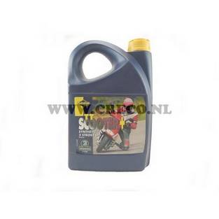 putoline tt scootermet 100% synt.4ltr